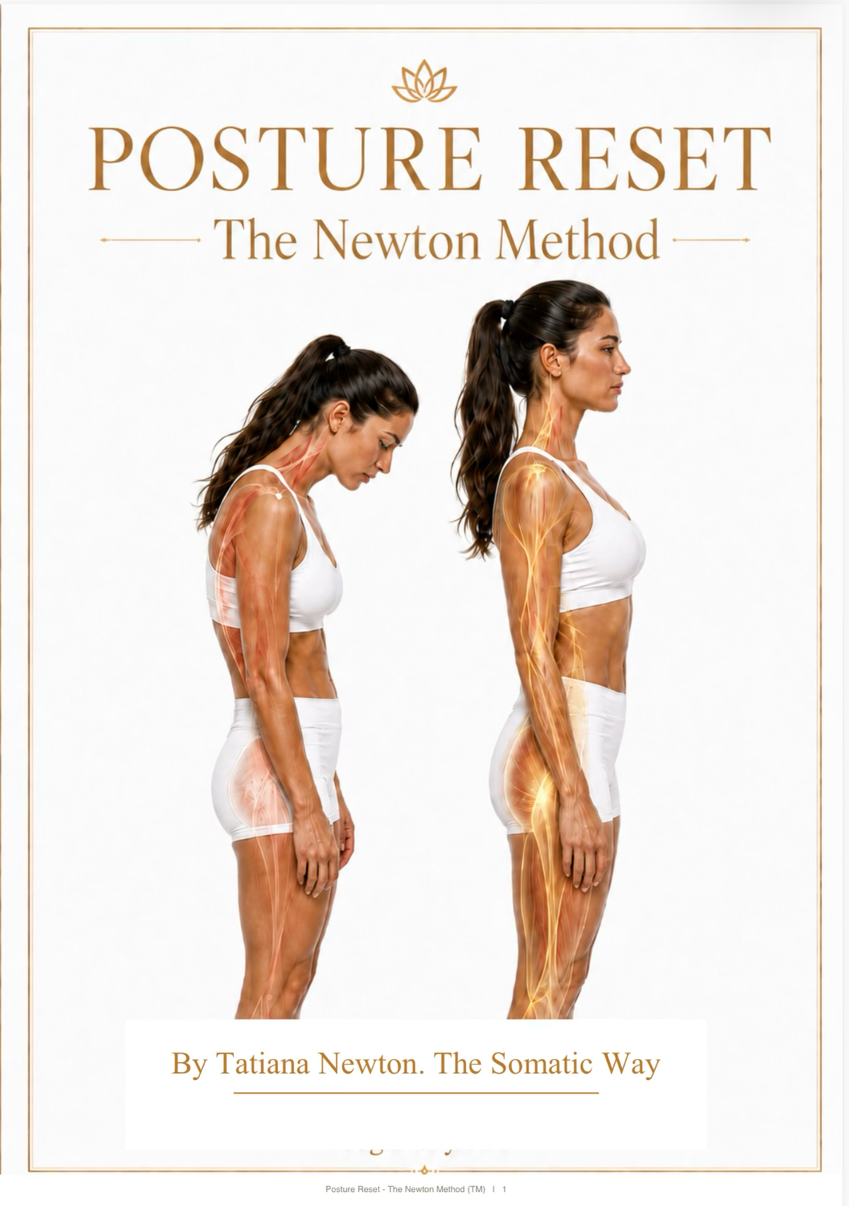 Posture Reset: The Newton Method