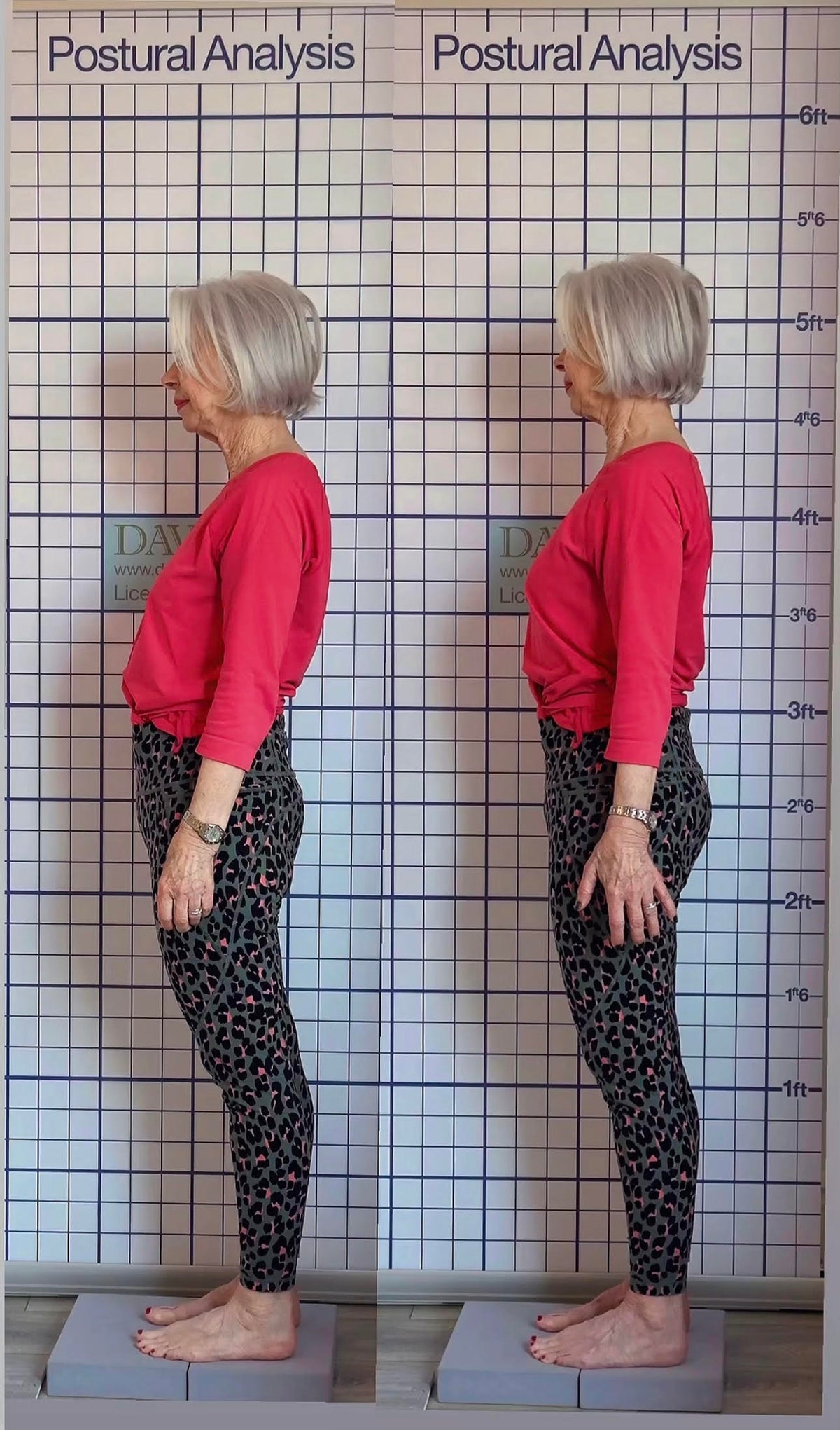 Private Posture Assessment
